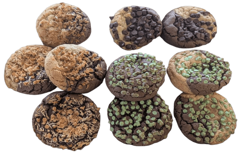 Close-up of nine colorful lithops succulents in a grid pattern.